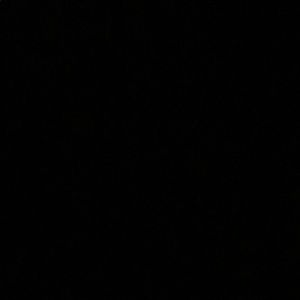 Meet your Posher, Minnah